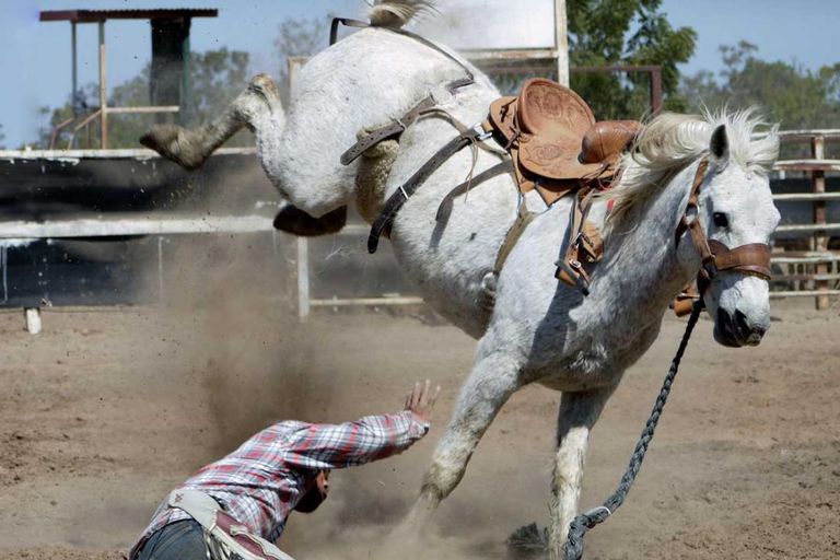 2017 Best Summer Rodeos In Colorado