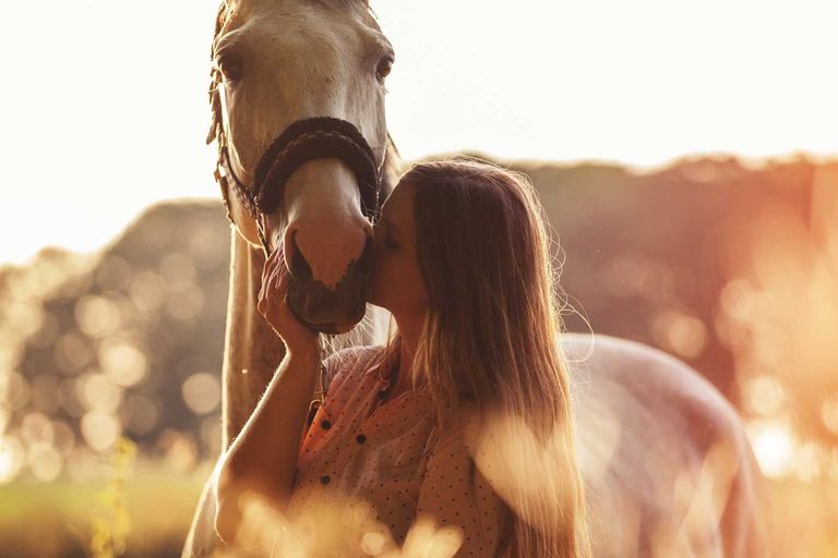 22 Essentials For Your Equine First Aid Kit