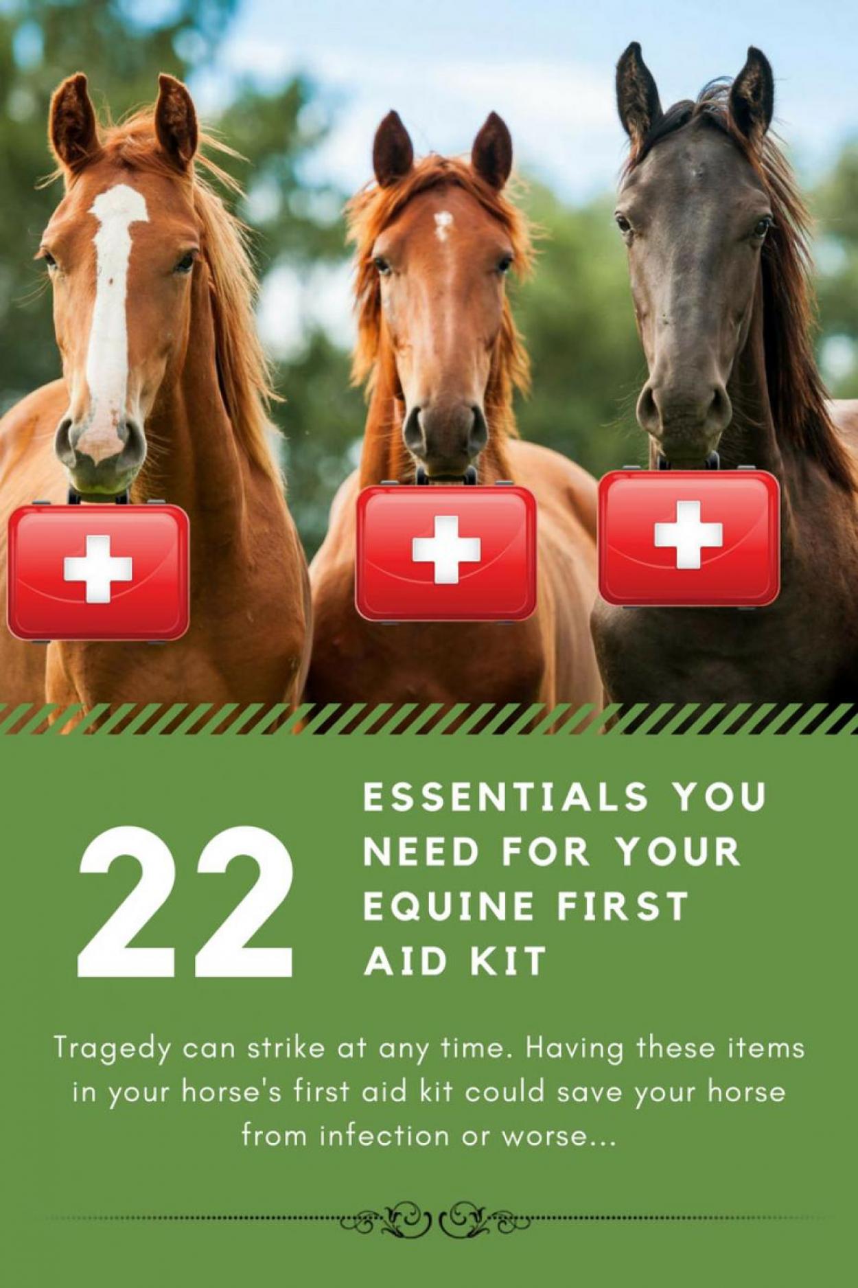 horse travel first aid kit