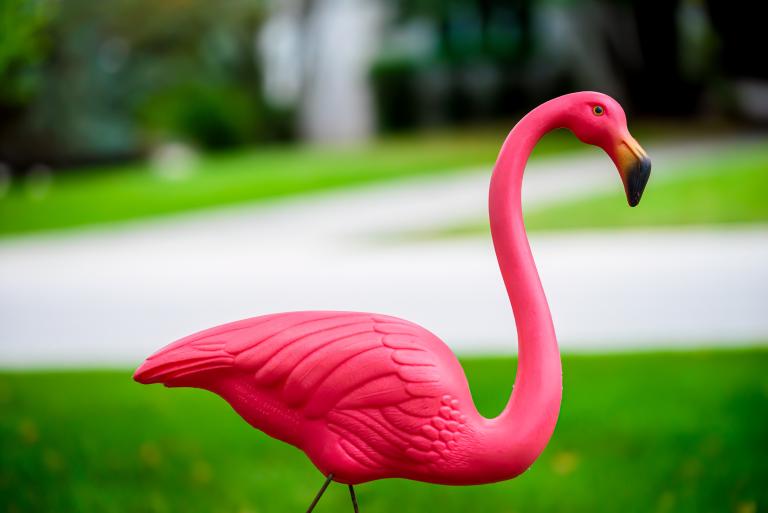 What do RV park flamingos mean?