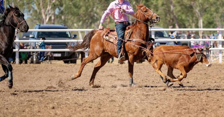 Cowboys at a stock show