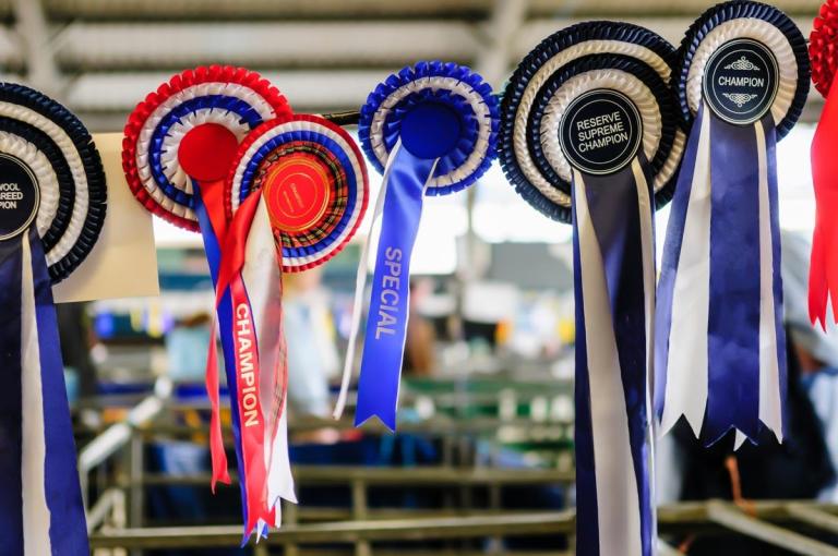 Ribbons hanging up outside