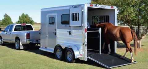 Horse being loaded up a ramp into a trailer