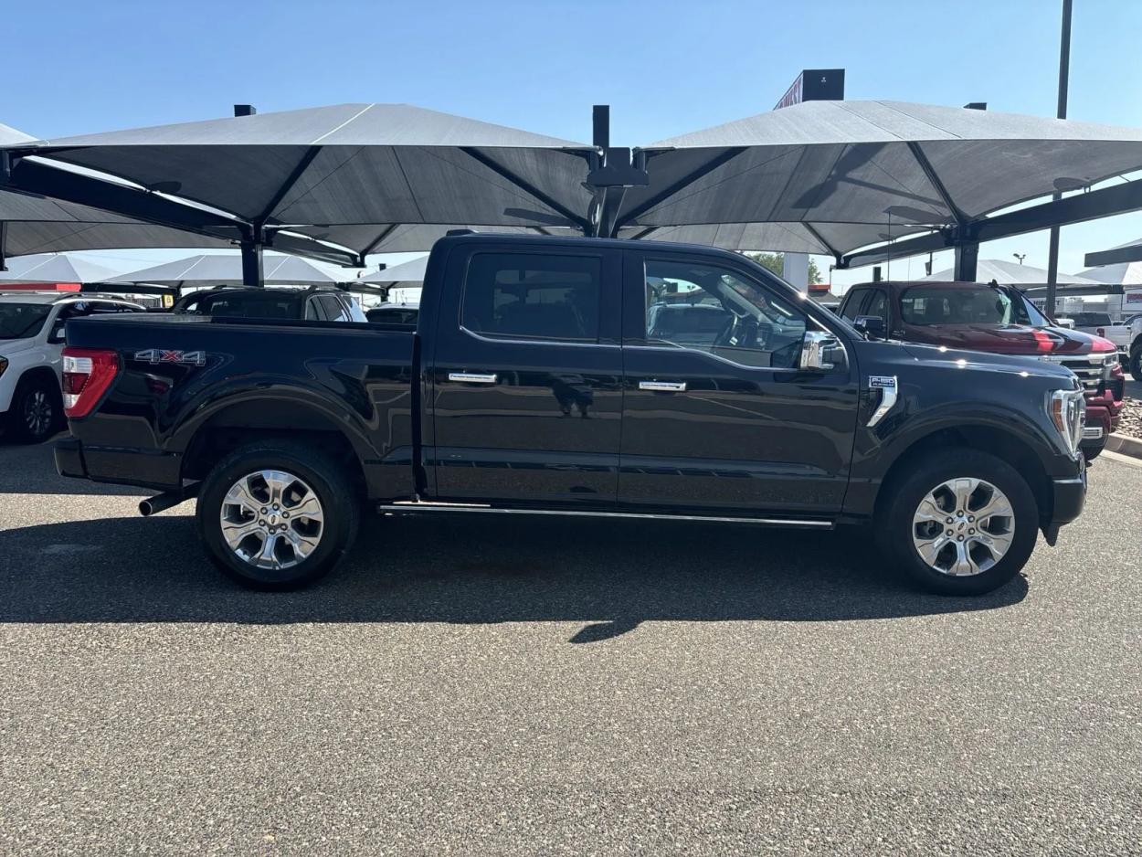 2023 Ford F-150 Platinum | Photo 5 of 20