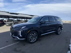 2024 Hyundai Palisade Limited | Thumbnail Photo 3 of 17