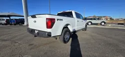 2024 Ford F-150 | Thumbnail Photo 13 of 36