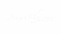 Fleet Value Logo